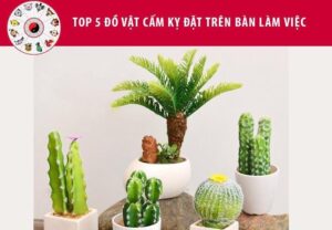 5 đồ vật cấm kỵ trên bàn làm việc