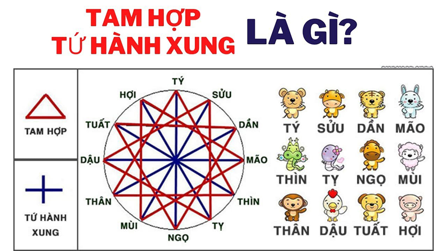 Tứ hành xung tuổi Thìn – Tuất – Sửu – Mùi Tứ hành xung tuổi Thìn – Tuất – Sửu – Mùi