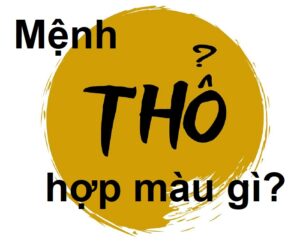 Mệnh thổ hợp với màu gì