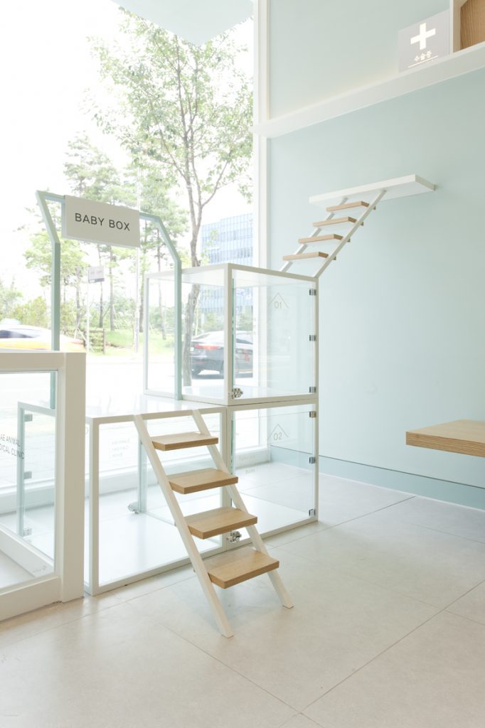 Mẫu spa thú cưng đẹp